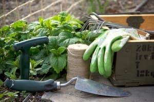 Gardening Tools and Waste